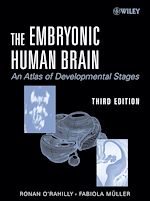Télécharger cet ebook : The Embryonic Human Brain: An Atlas Of Developmental Stages