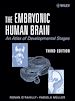 Téléchargez le livre numérique:  The Embryonic Human Brain: An Atlas Of Developmental Stages