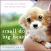 Téléchargez le livre numérique:  Small Dogs, Big Hearts: A Guide to Caring for Your Little Dog