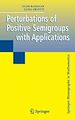 Téléchargez le livre numérique:  Perturbations of Positive Semigroups with Applications
