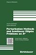 Téléchargez le livre numérique:  Perturbation Methods and Semilinear Elliptic Problems on Rn