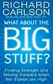 Téléchargez le livre numérique:  What About the Big Stuff?