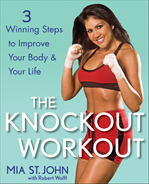 Télécharger cet ebook : The Knockout Workout