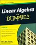 Téléchargez le livre numérique:  Linear Algebra For Dummies