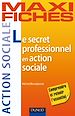 Téléchargez le livre numérique:  Maxi fiches. Le secret professionnel en action sociale