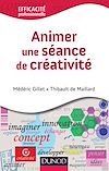 Télécharger cet ebook : Animer une séance de créativité