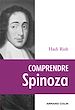 Téléchargez le livre numérique:  Comprendre Spinoza