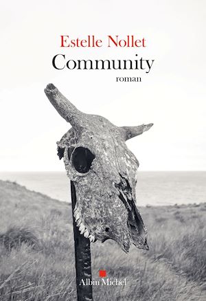Community | Nollet, Estelle. Auteur