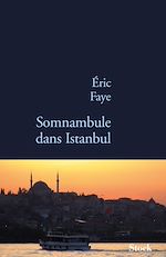 Download this eBook Somnambule dans Istanbul