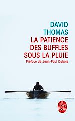 la patience des buffles sous la pluie