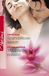 Télécharger le livre :  Scandaleuse liaison - Troublante passion (Harlequin Passions)