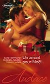 Télécharger le livre :  Un amant pour Noël