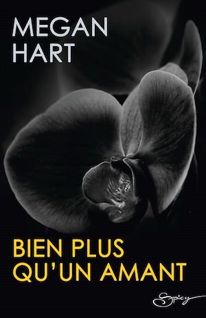 rencontre megan hart ebook