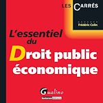 Télécharger cet ebook : L'essentiel du droit public économique