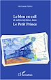 Téléchargez le livre numérique:  Le bleu en exil et autres mystères dans Le Petit Prince