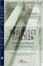 Télécharger cet ebook : Droit(s) et sanction