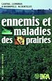 Téléchargez le livre numérique:  Ennemis et maladies des prairies