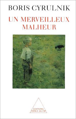 UN MERVEILLEUX MALHEUR
