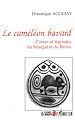 Téléchargez le livre numérique:  Le caméléon bavard