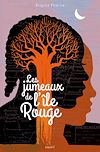 Les jumeaux de l'île rouge | Peskine, Brigitte. Auteur