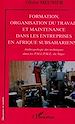 Téléchargez le livre numérique:  FORMATION, ORGANISATION DU TRAVAIL ET MAINTENANCE DANS LES ENTREPRISES EN AFRIQUE SUBSAHARIENNE
