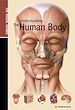 Téléchargez le livre numérique:  Understanding the Human Body