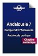 Téléchargez le livre numérique:  Andalousie 7 - Comprendre l'Andalousie et Andalousie pratique
