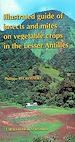 Téléchargez le livre numérique:  Illustrated Guide of Insects and Mites on Vegetable Crops in the Lesser Antilles