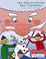 Télécharger cet ebook : Les découvertes des Triplettes - Noël, une fête pleine d'embûches