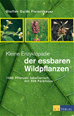 Téléchargez le livre numérique:  Kleine Enzyklopädie der essbaren Wildpflanzen - eBook