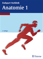 Télécharger cet ebook : Endspurt Vorklinik: Anatomie 1