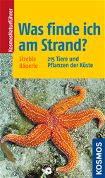 Télécharger cet ebook : Was finde ich am Strand?