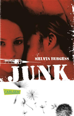 Télécharger cet ebook : Junk