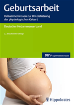 Télécharger cet ebook : Geburtsarbeit