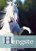Télécharger cet ebook : Hengste