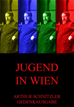 Téléchargez le livre numérique:  Jugend in Wien