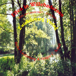 Télécharger cet ebook : Elfen in Willebadessen