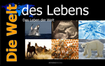 Télécharger cet ebook : Die Welt des Lebens