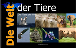Télécharger cet ebook : Die Welt der Tiere