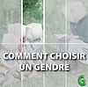 Télécharger le livre :  Comment choisir un gendre