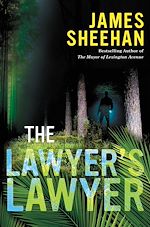 Télécharger le livre :  The Lawyer's Lawyer