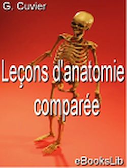 Télécharger le livre :  Leçons d'anatomie comparée