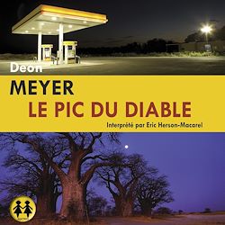 Télécharger le livre :  Le pic du diable