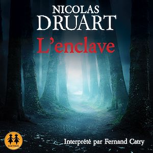 L'enclave | Druart, Nicolas. Auteur