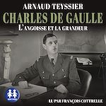 Télécharger le livre :  Charles de Gaulle - L'angoisse et la grandeur