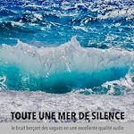 Télécharger le livre :  une mer de tranquillité, un océan de calme, toute une mer de silence