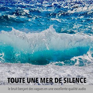 Téléchargez le livre :  une mer de tranquillité, un océan de calme, toute une mer de silence