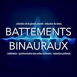 Télécharger le livre :  Battements binauraux : activation de la glande pinéale - réduction du stress - méditation - synchronisation des ondes cérébrales - relaxation profonde