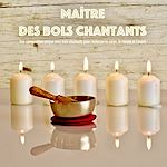 Télécharger le livre :  Maître des bols chantants: Une composition unique avec bols chantants pour renforcer le corps, le mental et l'esprit