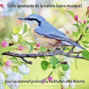 Téléchargez le livre :  Sons apaisants de la nature (sans musique) pour un sommeil profond, la méditation et la détente